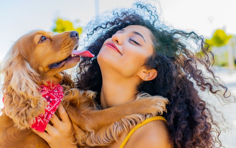 Pets Welcome at Hermann Park Lofts!
