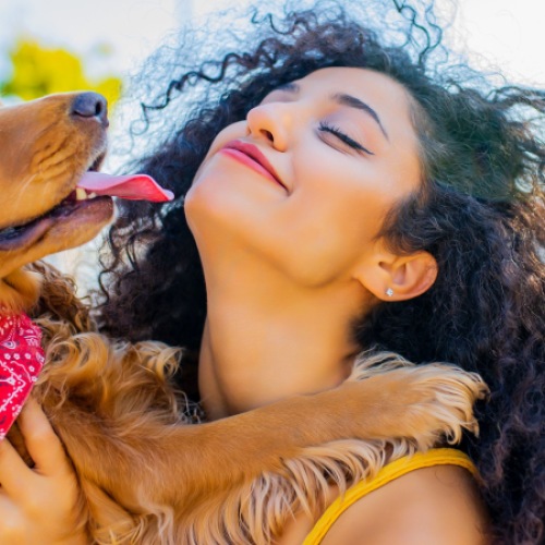 Pet Friendly Apartments at Hermann Park Lofts