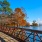 View of nearby lake on a walk path bridge